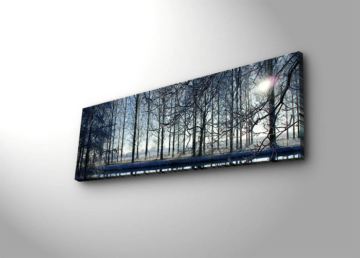 Wallity Lienzo Decorativo Iluminado con LEDs 30 x 90 cm Multicolor